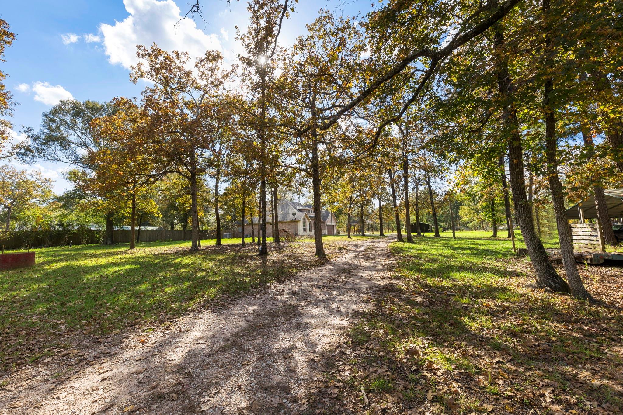 Lightly wooded area past grazing fields leading to the Home - If you have additional questions regarding 1155 Whipporwill Road  in Conroe or would like to tour the property with us call 800-660-1022 and reference MLS# 12122183.