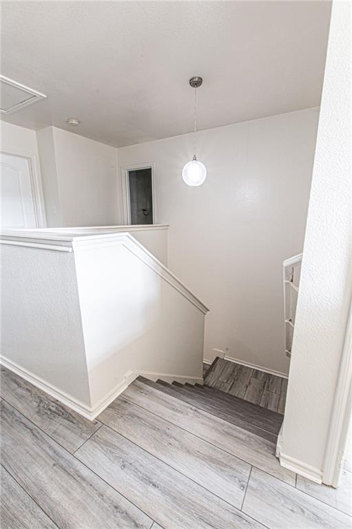 137 DANDELION Loop Loop Kyle TX 78640