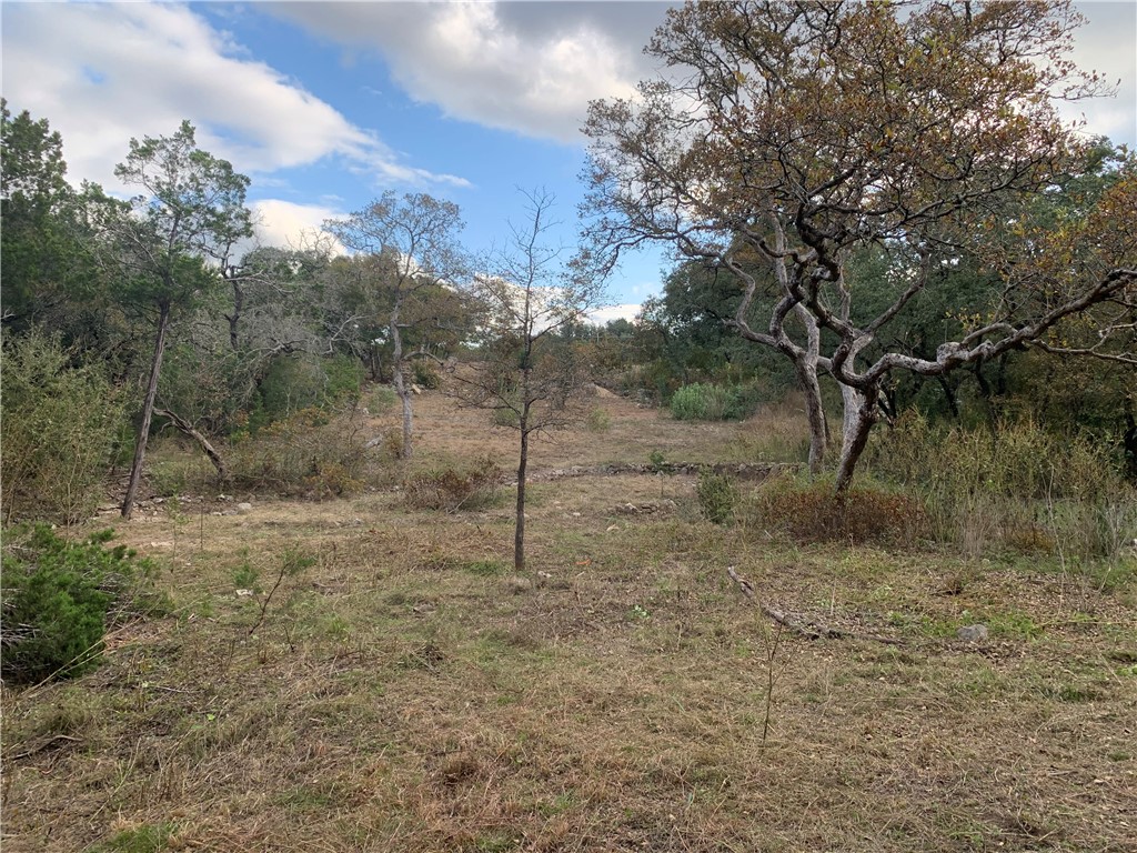 back part of lot looking towards wet weather creek and upper section of lot. - If you have additional questions regarding 14500 Debba Drive  in Austin or would like to tour the property with us call 800-660-1022 and reference MLS# 7432522.