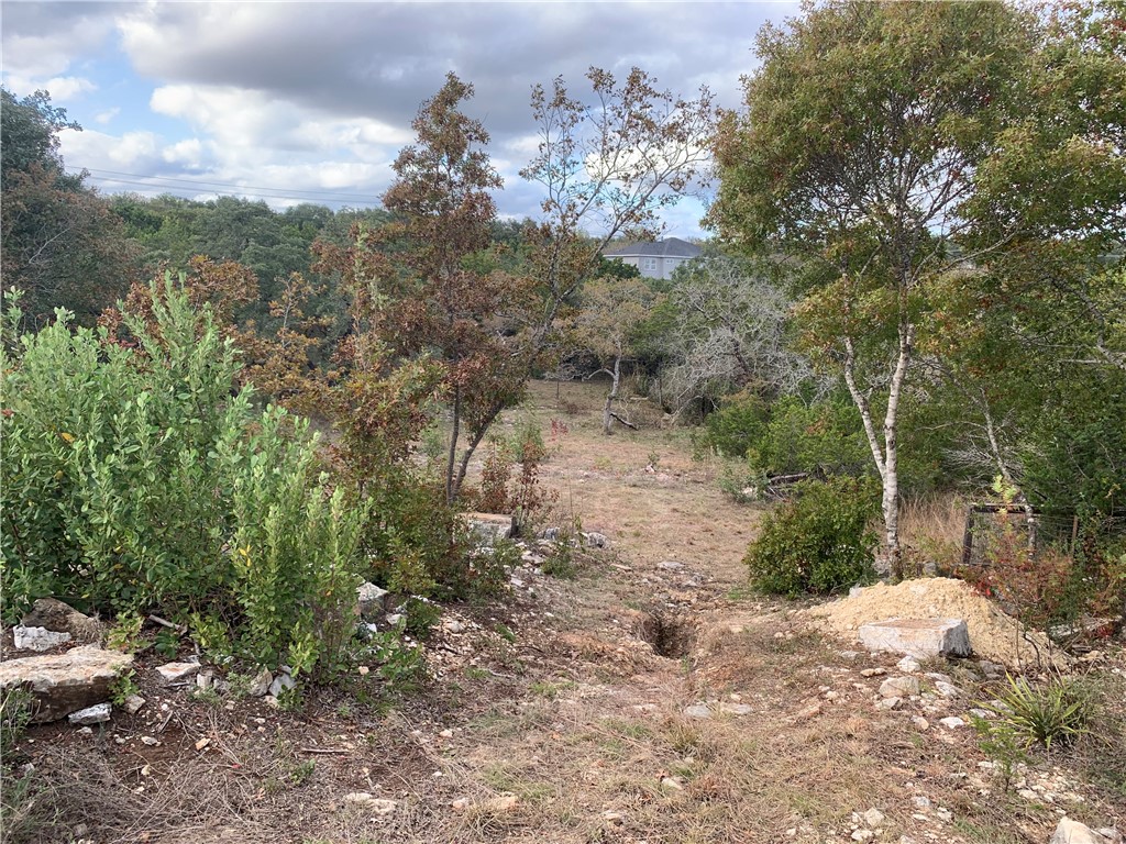 middle of lot looking to lower back section. - If you have additional questions regarding 14500 Debba Drive  in Austin or would like to tour the property with us call 800-660-1022 and reference MLS# 7432522.