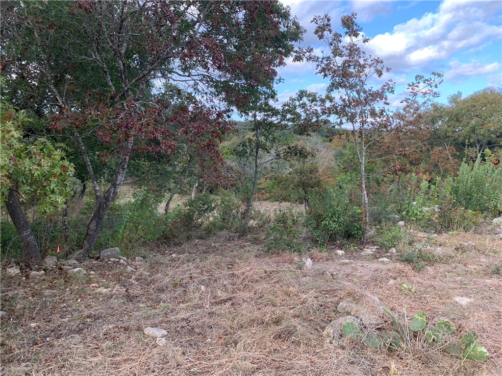 left center of lot looking to lower section. - If you have additional questions regarding 14500 Debba Drive  in Austin or would like to tour the property with us call 800-660-1022 and reference MLS# 7432522.