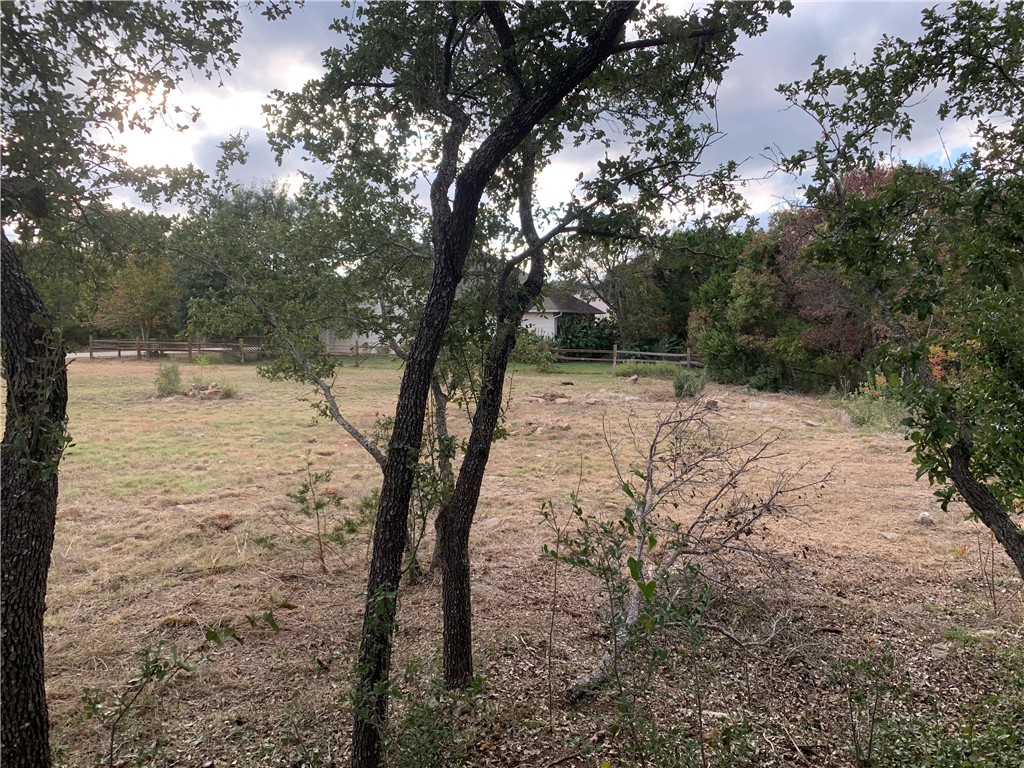 right middle looking to left side of lot through grouping of oak trees. - If you have additional questions regarding 14500 Debba Drive  in Austin or would like to tour the property with us call 800-660-1022 and reference MLS# 7432522.