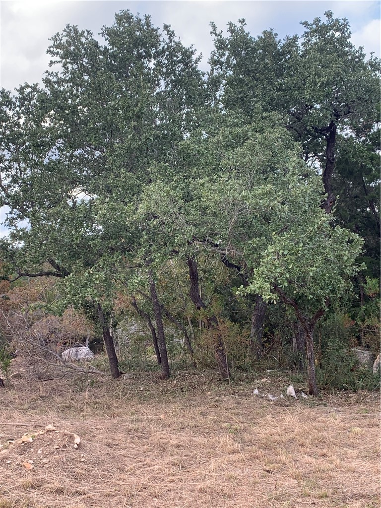 group of oak trees middle right of lot. - If you have additional questions regarding 14500 Debba Drive  in Austin or would like to tour the property with us call 800-660-1022 and reference MLS# 7432522.