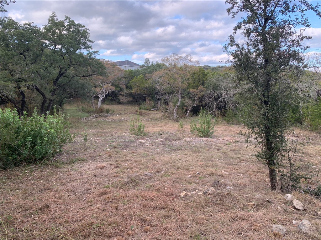on lower section looking to back of lot. - If you have additional questions regarding 14500 Debba Drive  in Austin or would like to tour the property with us call 800-660-1022 and reference MLS# 7432522.