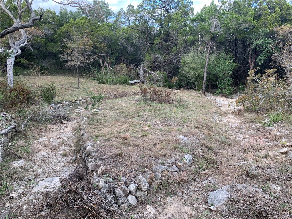 wet weather creek bed lower back section of lot. - If you have additional questions regarding 14500 Debba Drive  in Austin or would like to tour the property with us call 800-660-1022 and reference MLS# 7432522.