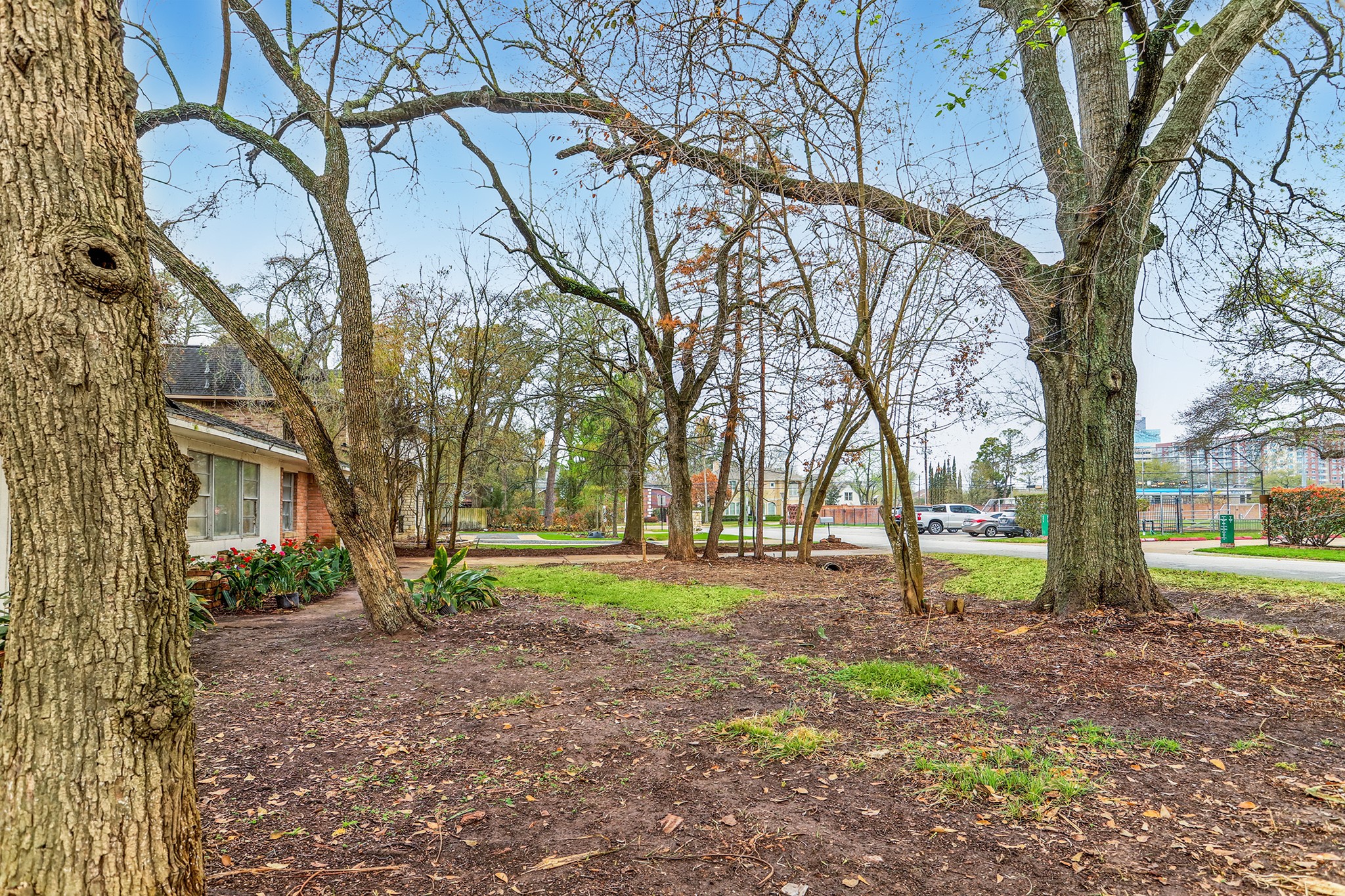 Another front yard view facing west - If you have additional questions regarding 11733 Joan of Arc Drive  in Houston or would like to tour the property with us call 800-660-1022 and reference MLS# 67674935.