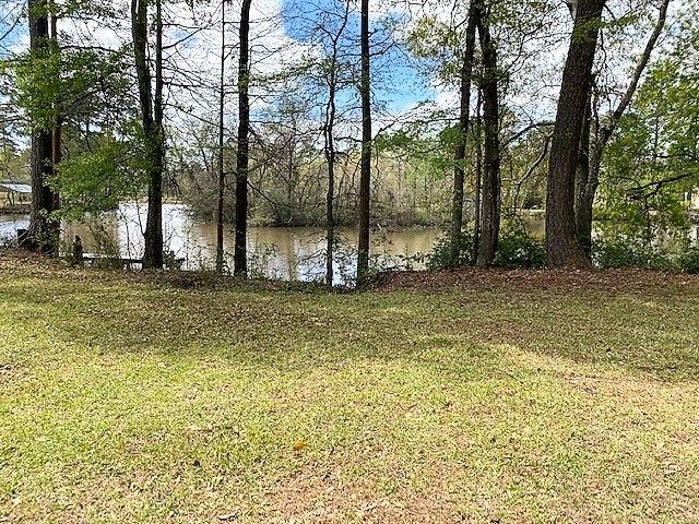 103 Sandy Lane Lane Houston TX 77336