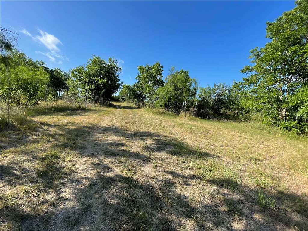 If you have additional questions regarding 189 CO RD 407  in Taylor or would like to tour the property with us call 800-660-1022 and reference MLS# 1321340.
