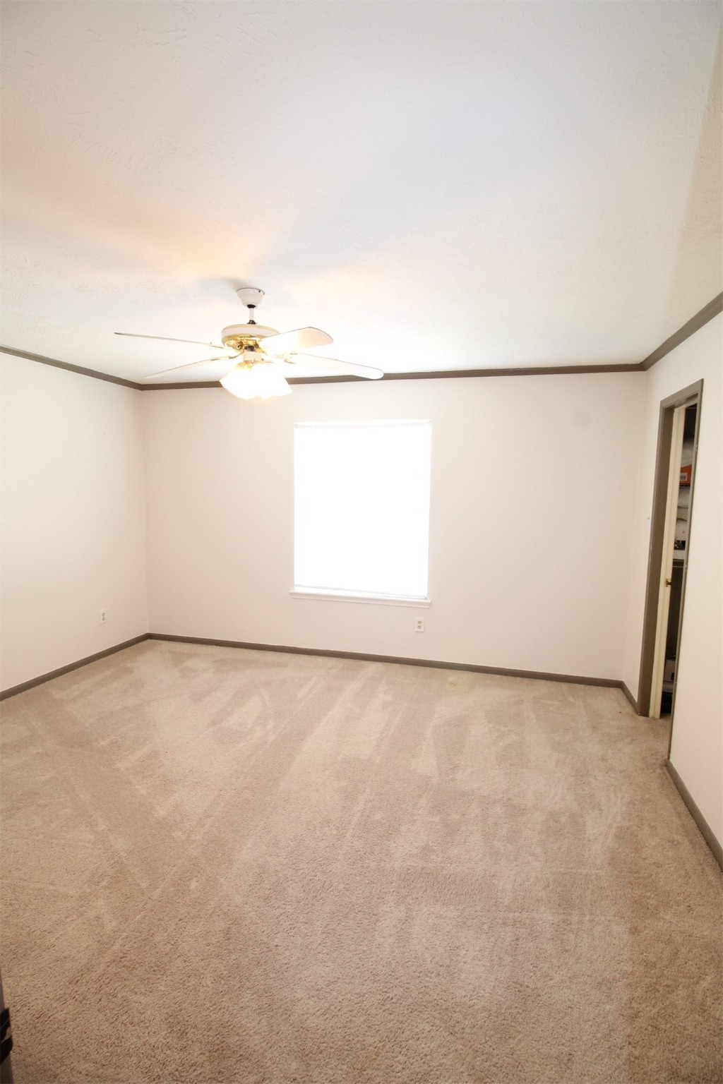 14323 Sandalfoot Street Street Houston TX 77095