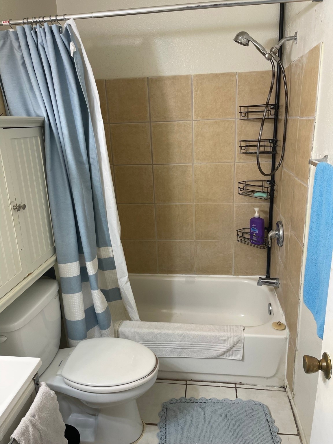 12247 Lemon Ridge Lane Lane Houston TX 77035