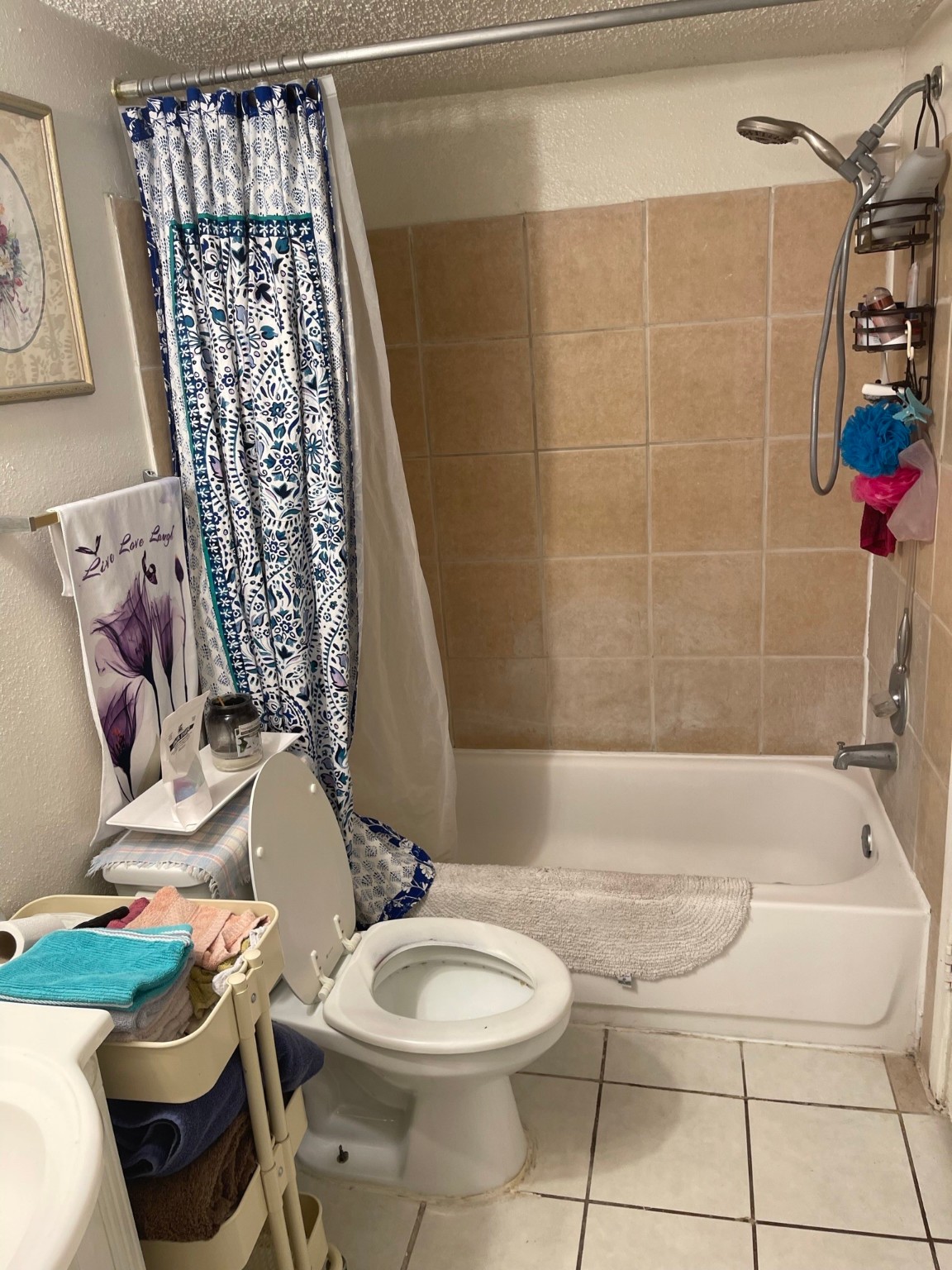 12247 Lemon Ridge Lane Lane Houston TX 77035