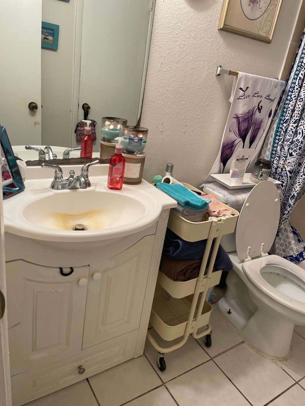 12247 Lemon Ridge Lane Lane Houston TX 77035