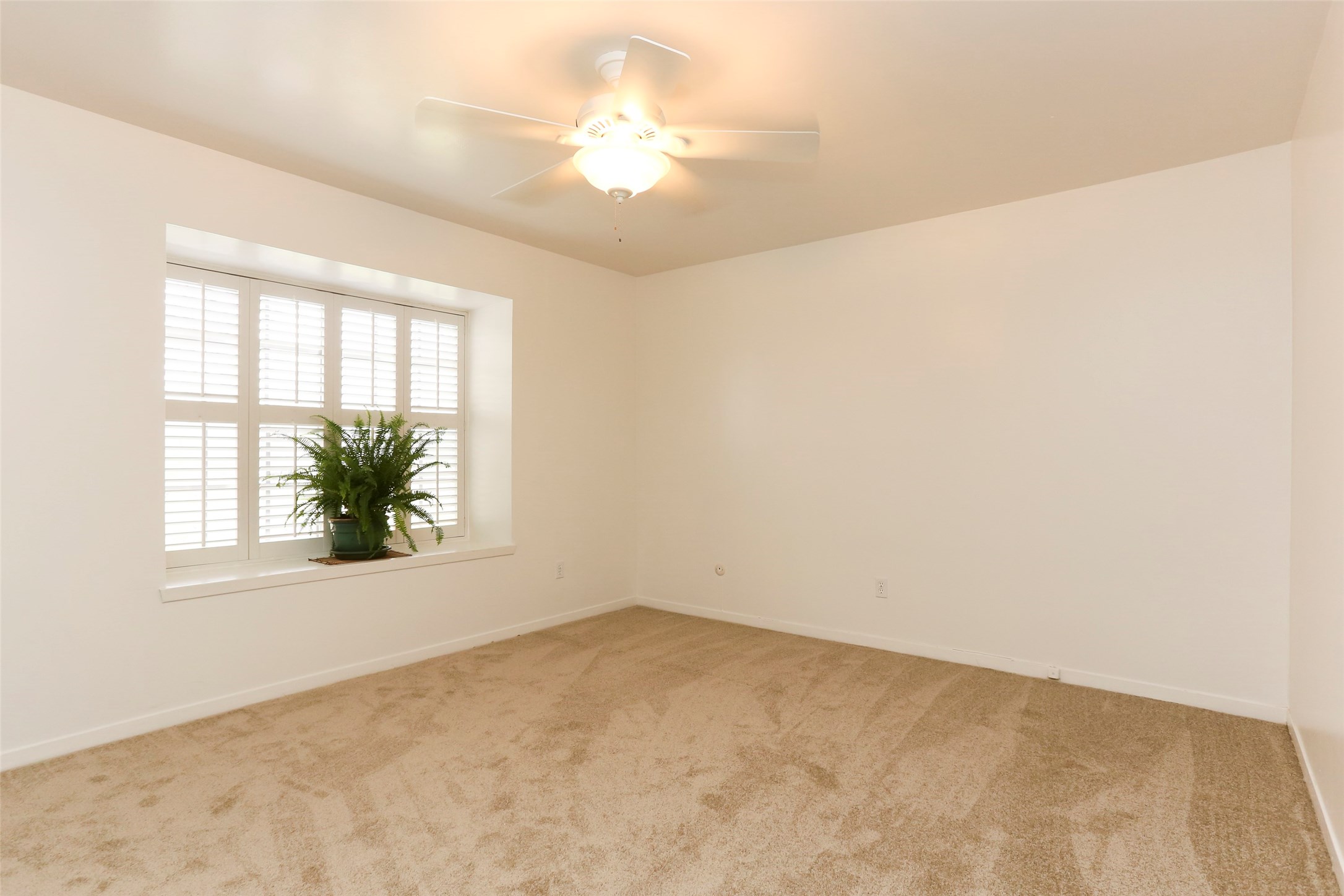 Second bedroom. - If you have additional questions regarding 9017 Gaylord Drive  in Houston or would like to tour the property with us call 800-660-1022 and reference MLS# 73330240.