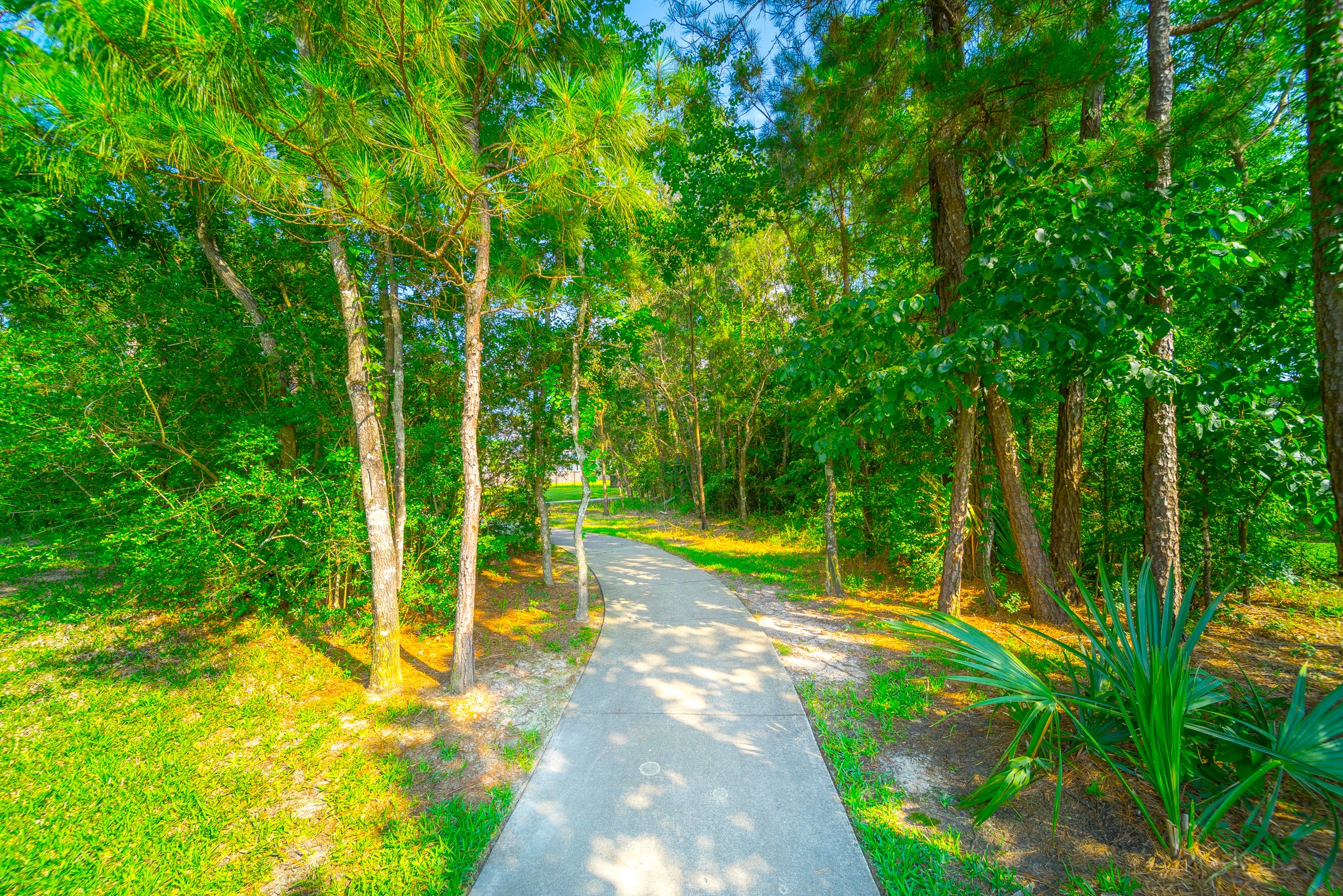 Home is next to its own walking trail - If you have additional questions regarding 31278 Shady Arbor Lane  in Spring or would like to tour the property with us call 800-660-1022 and reference MLS# 42765152.