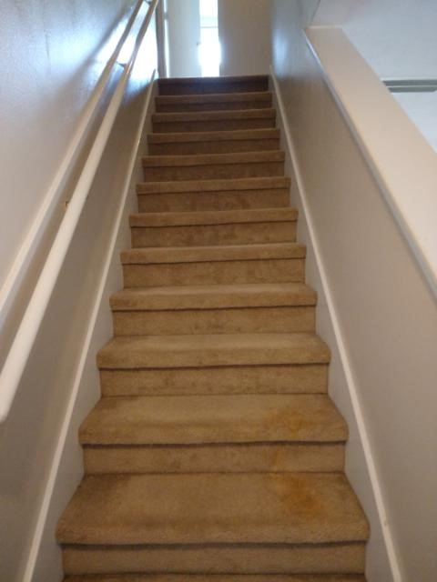 14602 Sweetwater View Drive Drive Houston TX 77047
