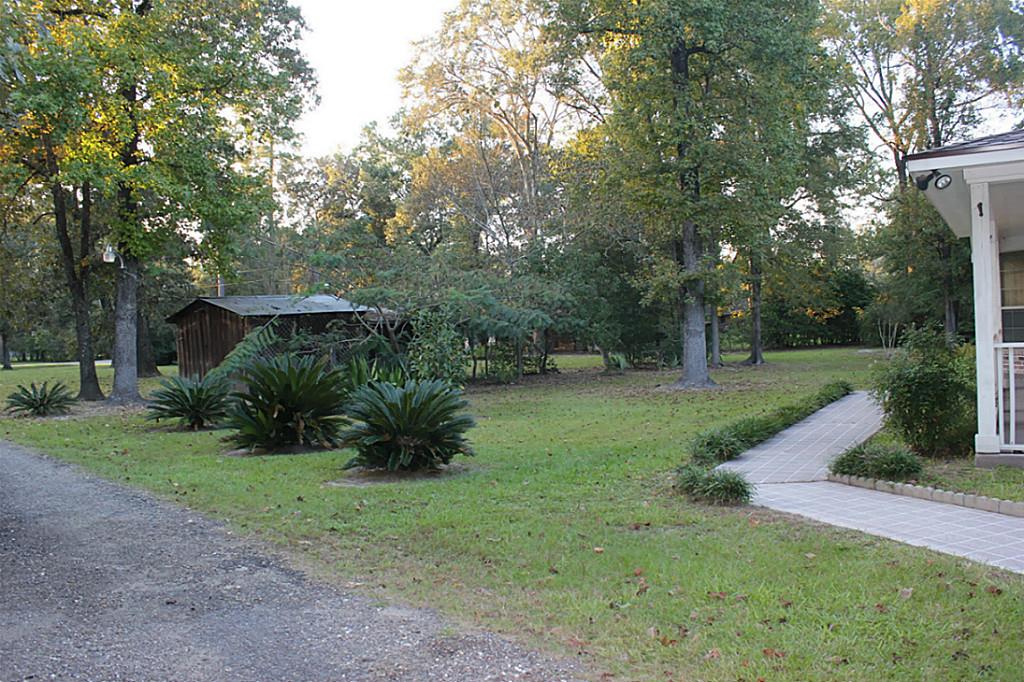 Pretty front yard with some privacy too. - If you have additional questions regarding 17021 Lexington Drive  in Conroe or would like to tour the property with us call 800-660-1022 and reference MLS# 6573860.