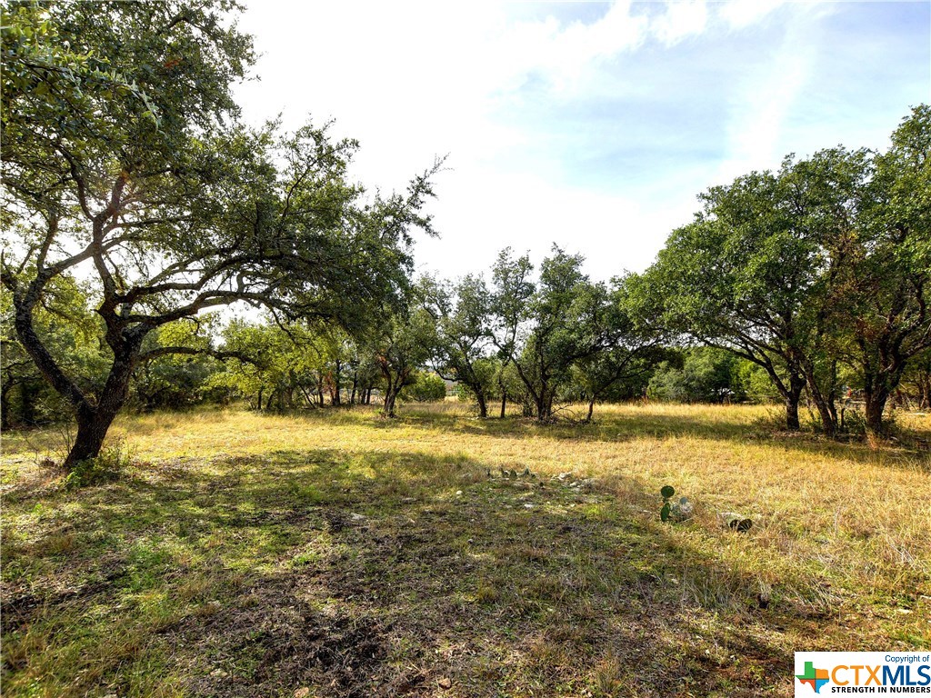If you have additional questions regarding 10717 Signal Hill Road  in Austin or would like to tour the property with us call 800-660-1022 and reference MLS# 396236.