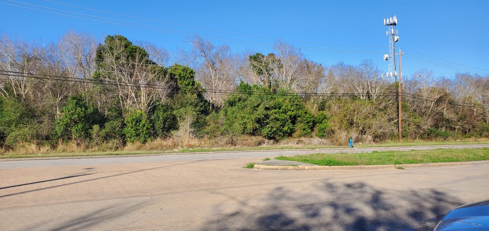 If you have additional questions regarding 2655 Reed Road  in Houston or would like to tour the property with us call 800-660-1022 and reference MLS# 15669868.