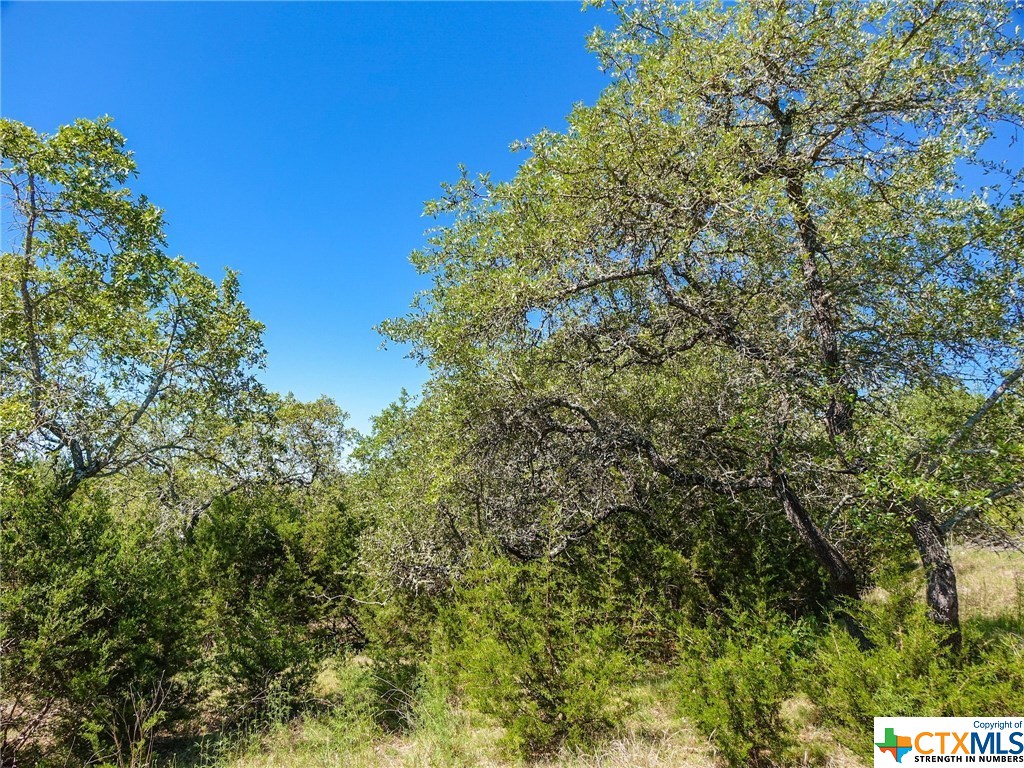 If you have additional questions regarding 25614 Echo Mountain  in San Antonio or would like to tour the property with us call 800-660-1022 and reference MLS# 411908.
