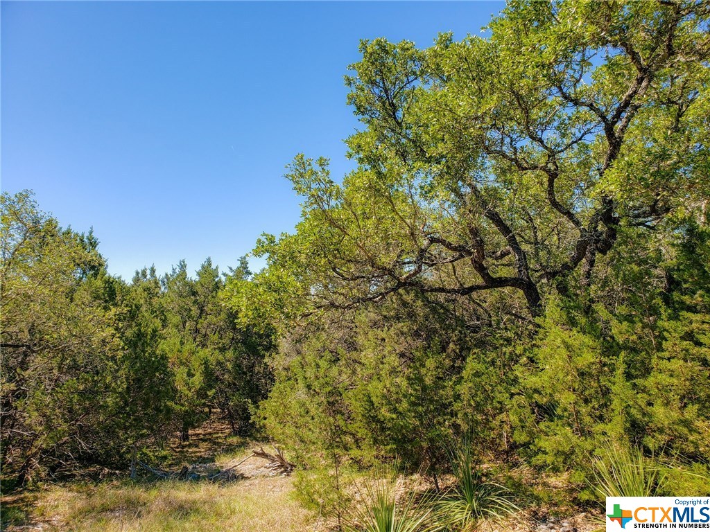 If you have additional questions regarding 25614 Echo Mountain  in San Antonio or would like to tour the property with us call 800-660-1022 and reference MLS# 411908.