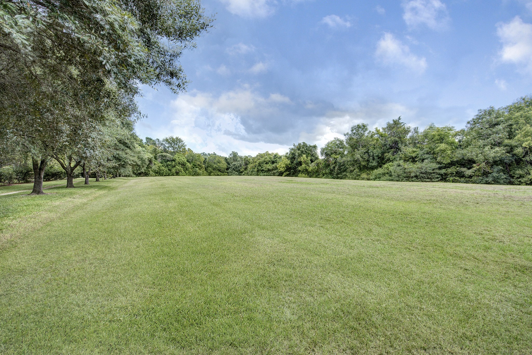 815 Spear Point Cove Cove Houston TX 77079