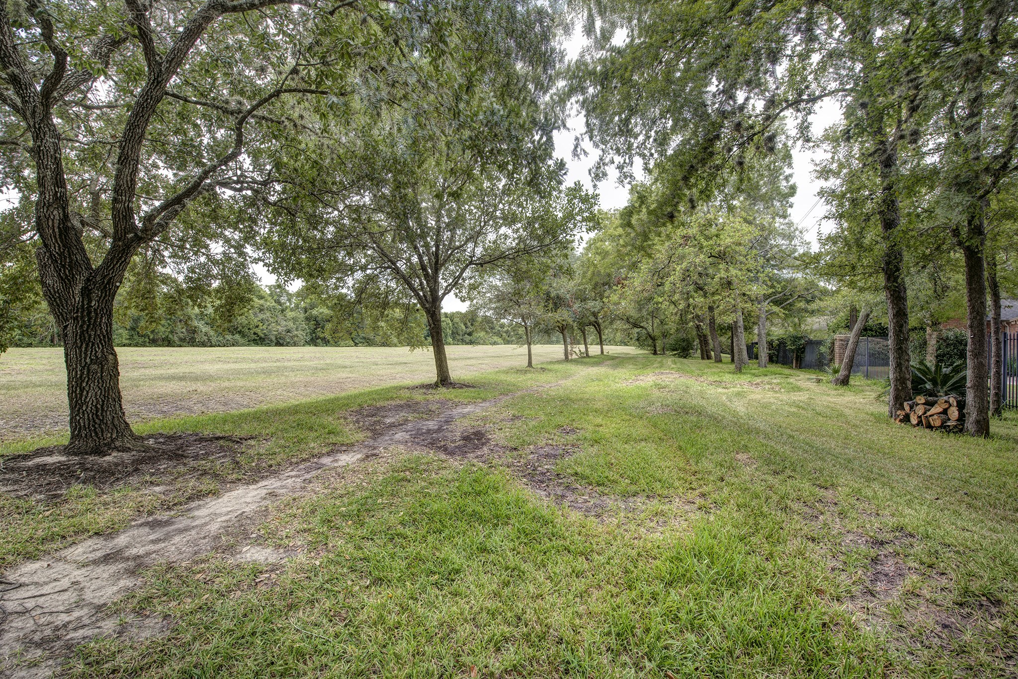 815 Spear Point Cove Cove Houston TX 77079