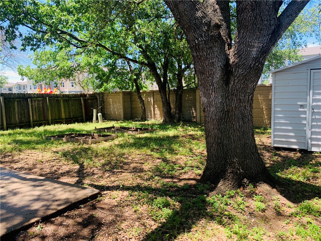 Backyard - Huge tree for shade - If you have additional questions regarding 4512 Sojourner Street  in Austin or would like to tour the property with us call 800-660-1022 and reference MLS# 8935600.