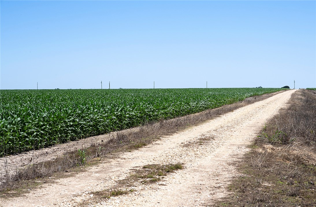 Taken from the middle of property looking back to FM 1331.  The east side of the corn field is on the left. - If you have additional questions regarding 5501 FM 1331  in Taylor or would like to tour the property with us call 800-660-1022 and reference MLS# 6328770.