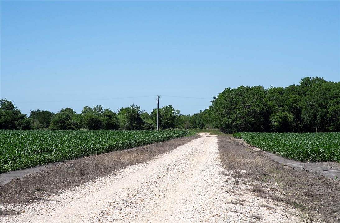 Taken towards the north end of the property that abuts Fox Park Road. - If you have additional questions regarding 5501 FM 1331  in Taylor or would like to tour the property with us call 800-660-1022 and reference MLS# 6328770.