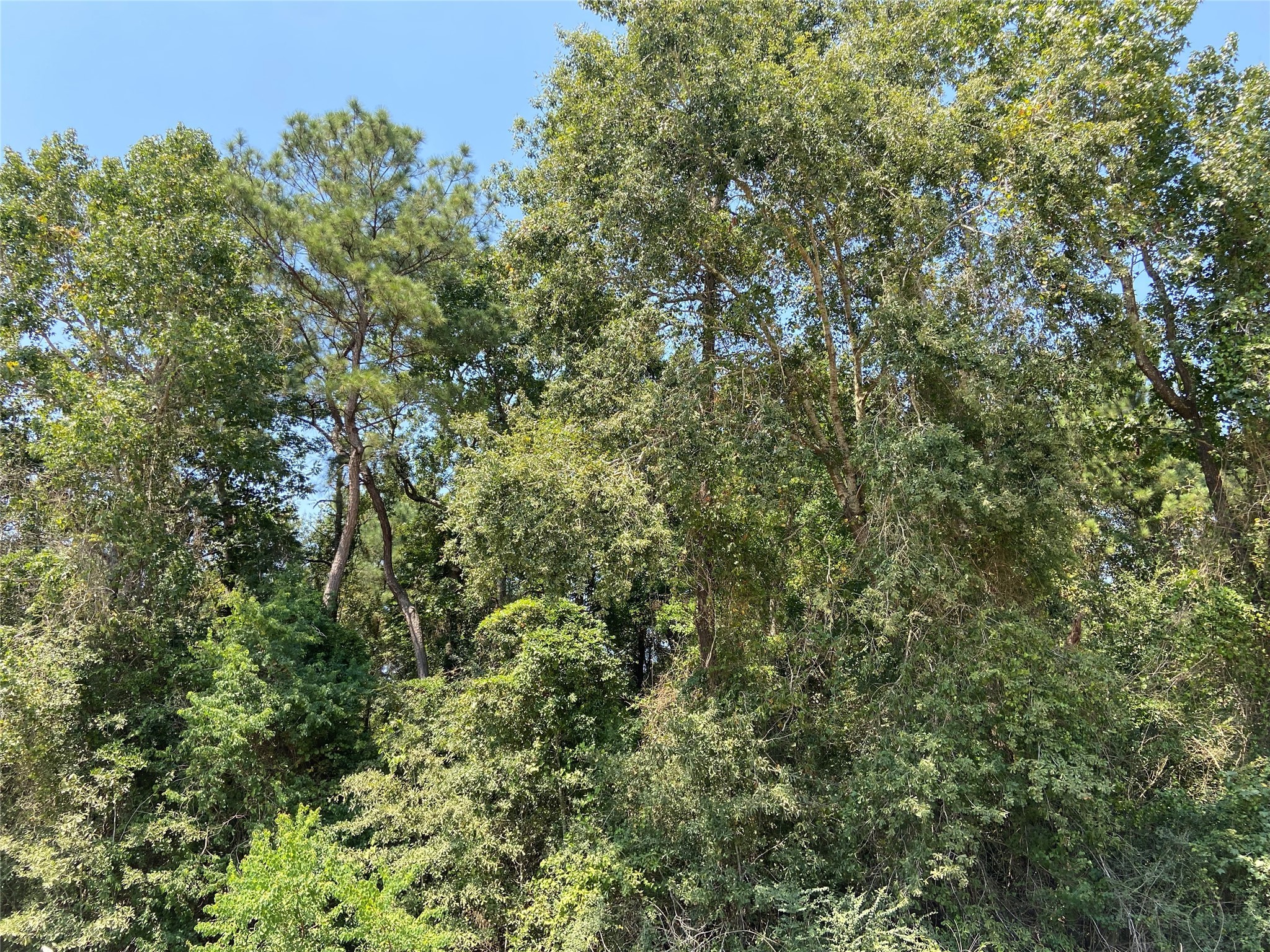 If you have additional questions regarding TBD Airport Rd  in Conroe or would like to tour the property with us call 800-660-1022 and reference MLS# 41878248.