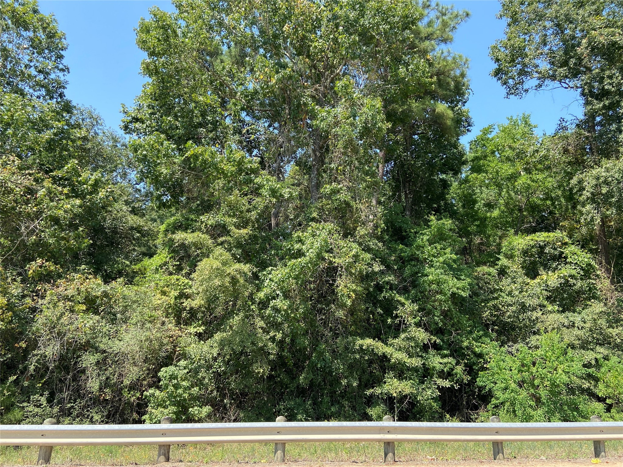 If you have additional questions regarding TBD Airport Rd  in Conroe or would like to tour the property with us call 800-660-1022 and reference MLS# 41878248.